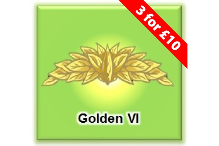 VaperVapour - Golden VGA